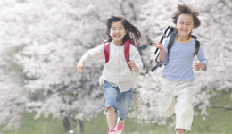 perfee平台的主要推广方式