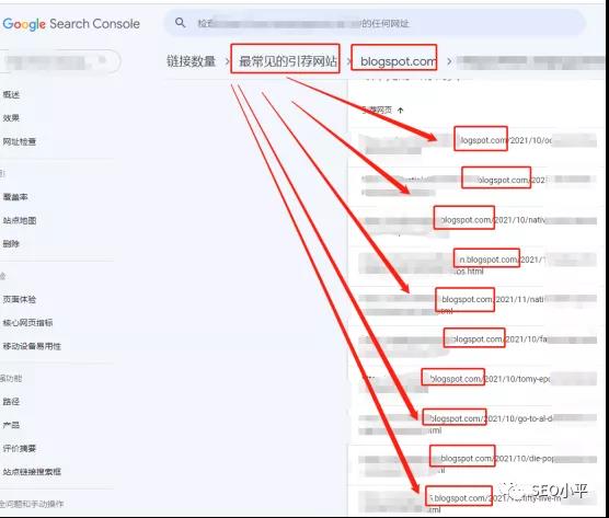 我的PBN颠覆独立站SEOer的认知，附真实案例截图！！