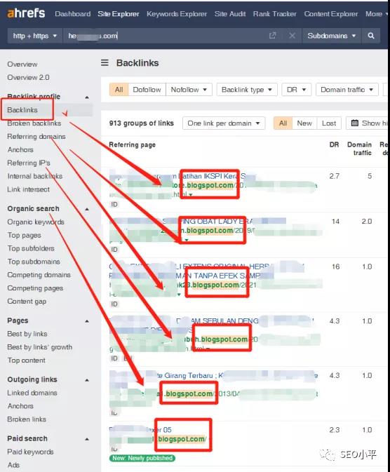 我的PBN颠覆独立站SEOer的认知，附真实案例截图！！