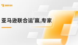 一文看懂浩方集團亞馬遜聯(lián)合運營接龍項目
