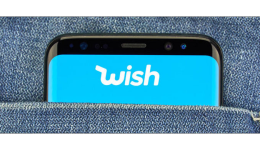 wish产品审核要多久