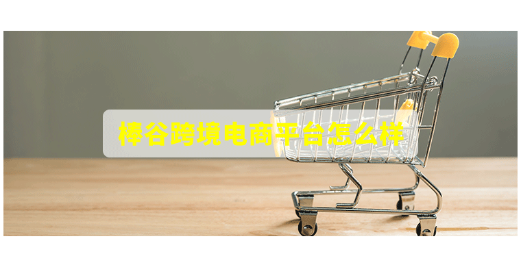 棒谷跨境电商平台怎么样