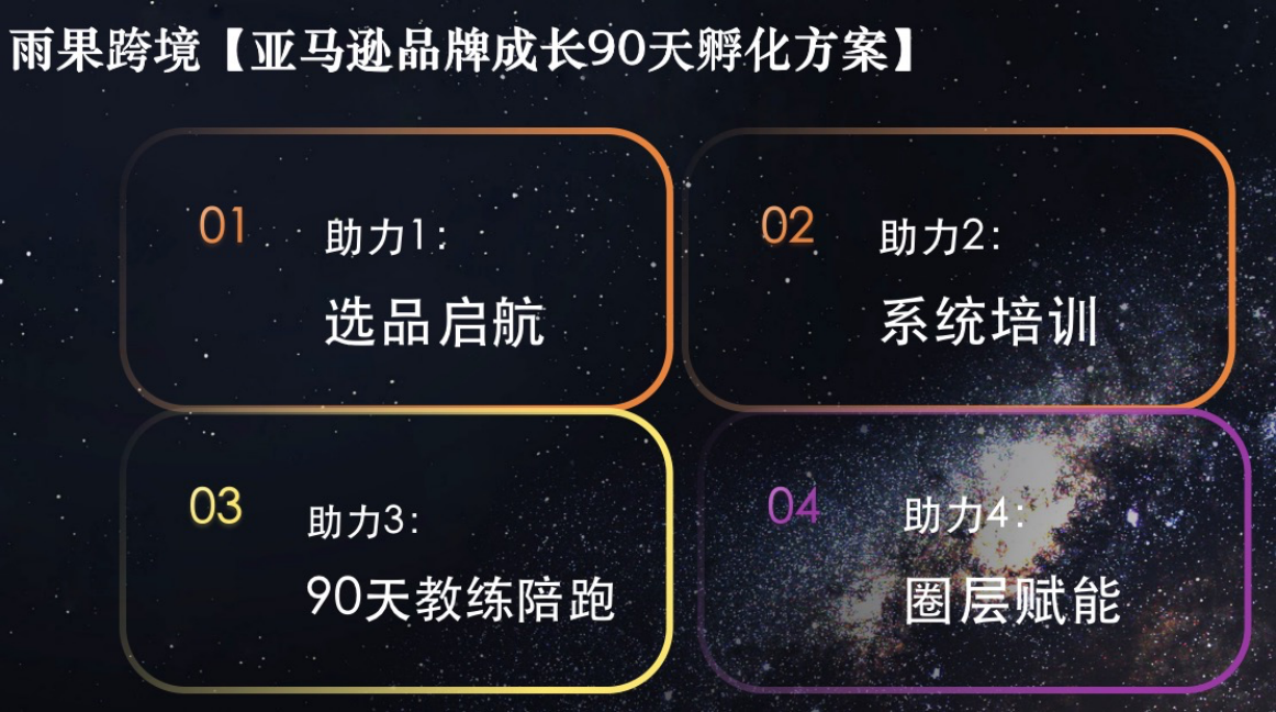 雨果跨境VP李智贤：品牌出海历史性机遇，电商新流量进入激烈争夺战