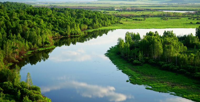 重磅推荐！推进“双碳”，还能探索品牌出海新玩法！