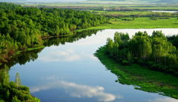 重磅推荐！推进“双碳”，还能探索品牌出海新玩法！