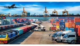 wildberries平臺用什么物流方式