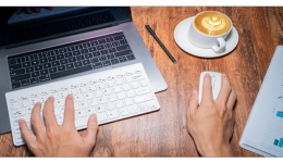 spartoo海外旗舰店怎么样