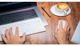 spartoo海外旗舰店怎么样