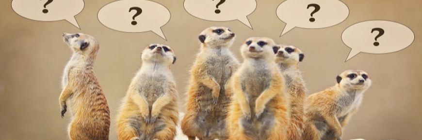 spartoo开店入驻,入驻条件有哪些