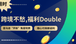 亚马逊新店铺免提现费，随心付高额返利，Payoneer派安盈限时活动来了！