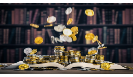 Spartoo的支付方式，Spartoo价格中是否包含增值税