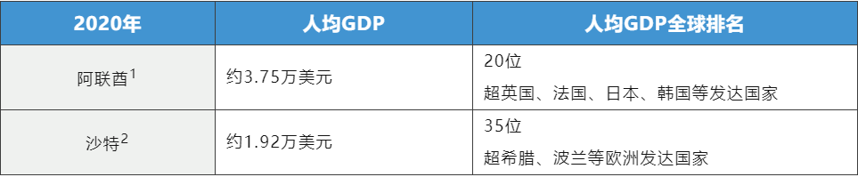 豪气站点要腾飞！深度解析2022亚马逊中东站到底怎么赚