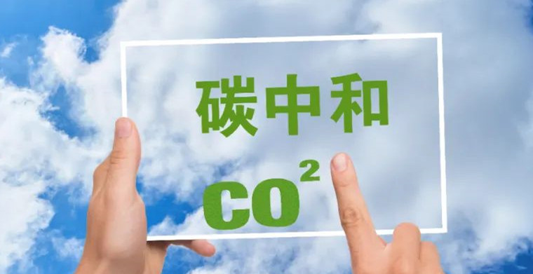 焦点 | 碳中和是跨境品牌长期主义的自救