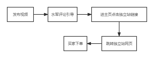 海外版抖音TikTok赚钱秘籍