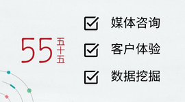 全面数据营销咨询服务