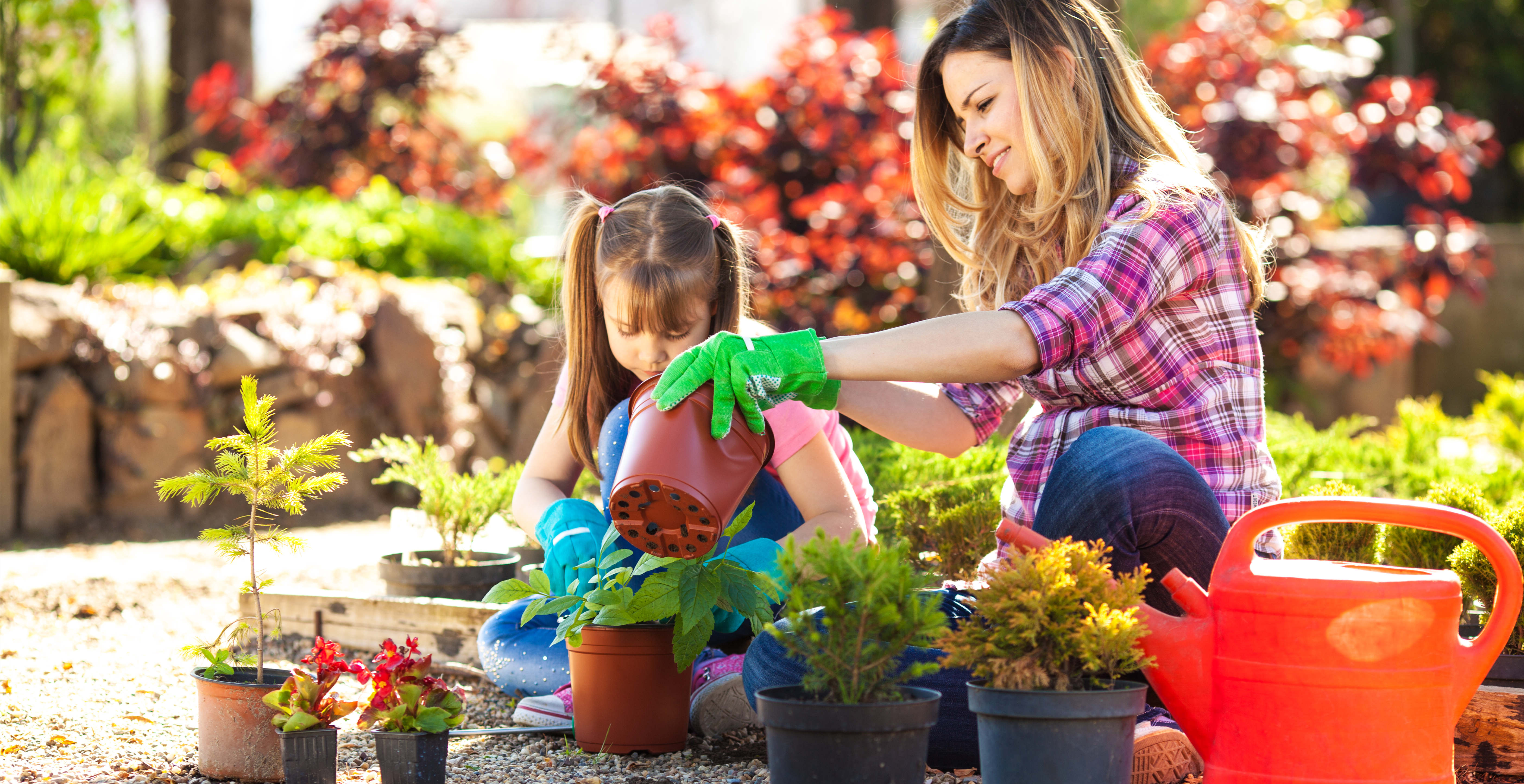 2022园艺数据报告|千禧一代成主力军，美国市场高达百亿规模