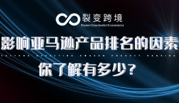 影响亚马逊产品排名的因素，你了解有多少？