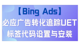 【Bing Ads】必应广告转化追踪UET标签代码设置与安装