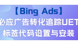 【Bing Ads】必应广告转化追踪UET标签代码设置与安装