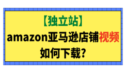 【独立站】amazon亚马逊店铺视频如何下载?
