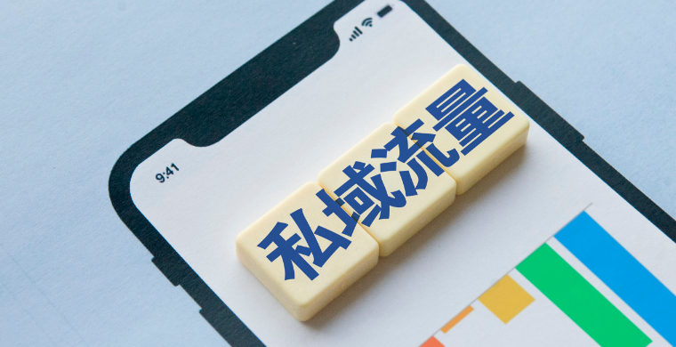 DTC品牌出海必备的海外私域运营电子书，现在免费送给你！