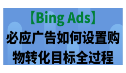 【Bing Ads】必应广告如何设置购物转化目标全过程