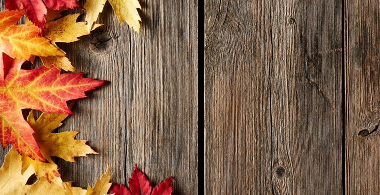 poshmark平台怎么样，如何入住