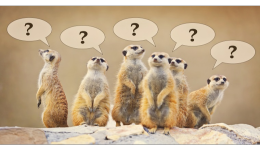 日本雅虎拍卖怎么联系卖家