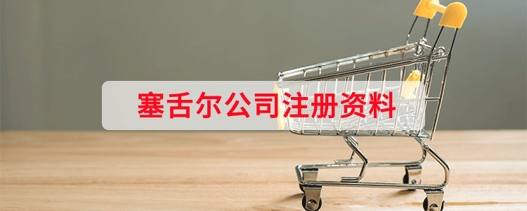 塞舌尔公司注册资料