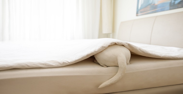 家具类如何借助海外仓在wayfair等平台销售