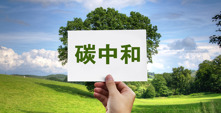 焦点|减排降碳，跨境物流企业都做了哪些努力？