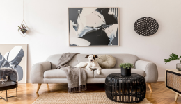 客户案例：从平台到独立站，Shoptop助力家具独立站爆红海外