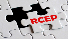 RCEP协定成功签订，国内卖家如何快速出海？