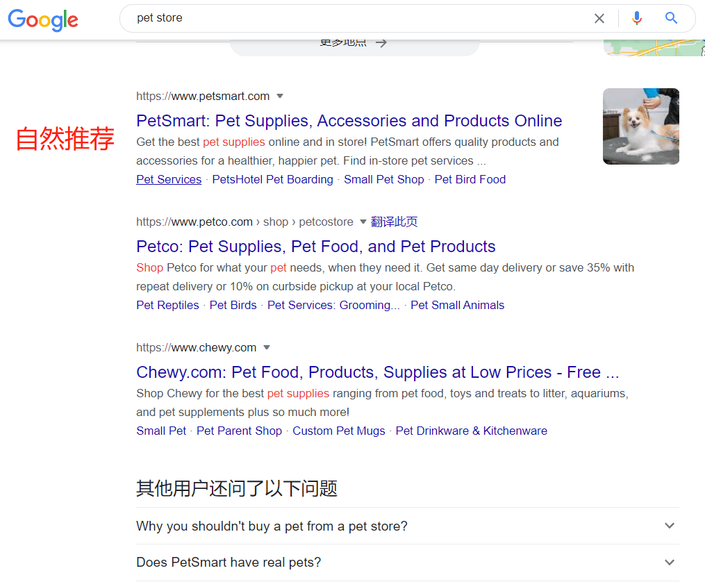 Google Ads谷歌广告入门认知-独立站卖家都应该了解入局的流量