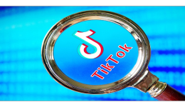 TikTok直播流程技巧攻略，如何提升转化率