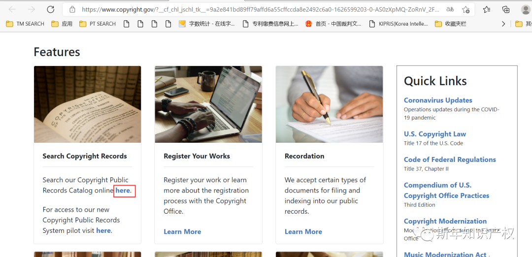 【Sinan干货】​如何查询美国版权？被恶意投诉侵权了怎么办？（版权上集）