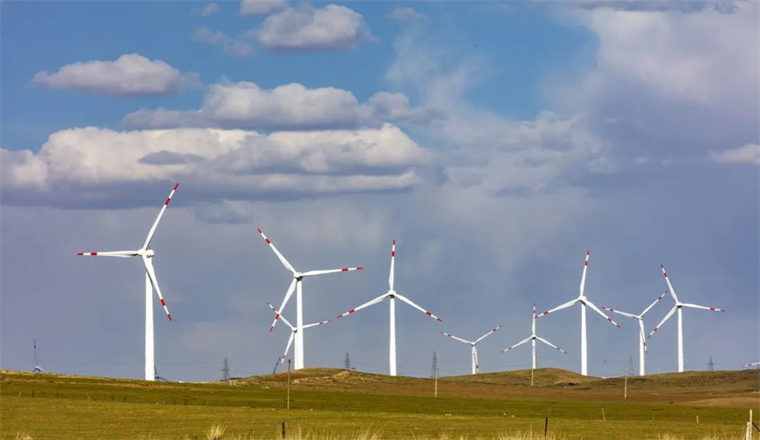 活了1.5亿年的长江白鲟，却未能撑过2022年