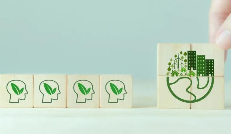 焦点：“碳”索新能源，出海添动力