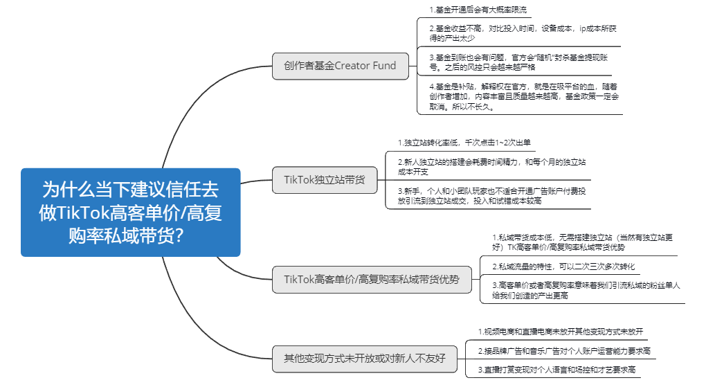 在TikTok做知识付费如何变现？有哪些形式？