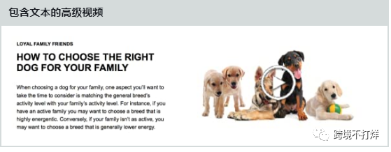 亚马逊高级版A+功能解析和模块说明