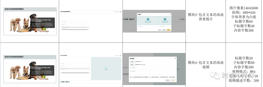 亚马逊高级版A+功能解析和模块说明