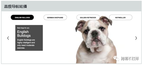 亚马逊高级版A+功能解析和模块说明