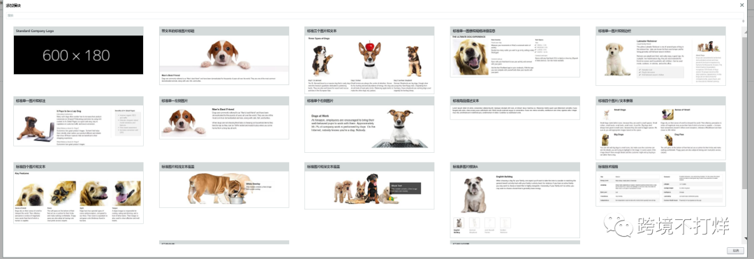 亚马逊高级版A+功能解析和模块说明