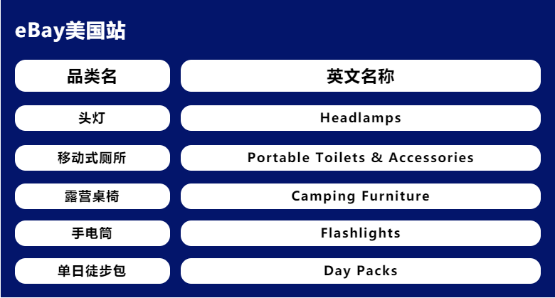 亿级美元市场！这几大品类助你抢占先机，热卖海外