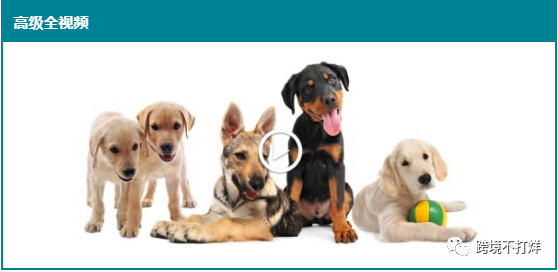 亚马逊高级版A+功能解析和模块说明