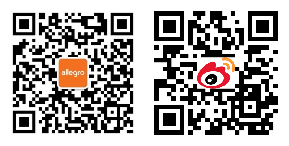 如何在Allegro平台获得全面的中文支持？