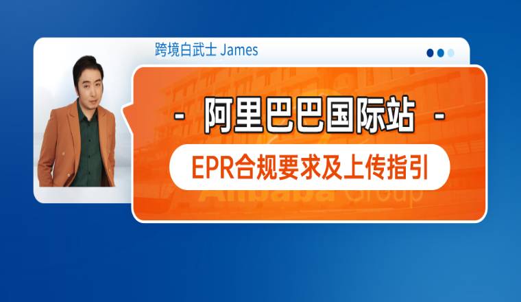 国际贸易合规与风险控制在阿里巴巴平台的重要性