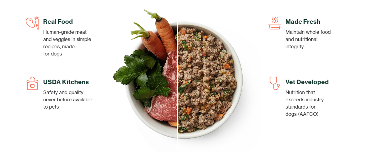 【案例分析】狗粮赛道：如何在饱和的市场让品牌与众不同