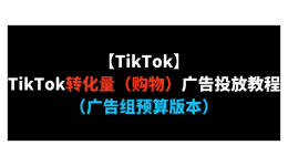 【TikTok】TikTok轉化量（購物）廣告投放教程（廣告組預算版本）