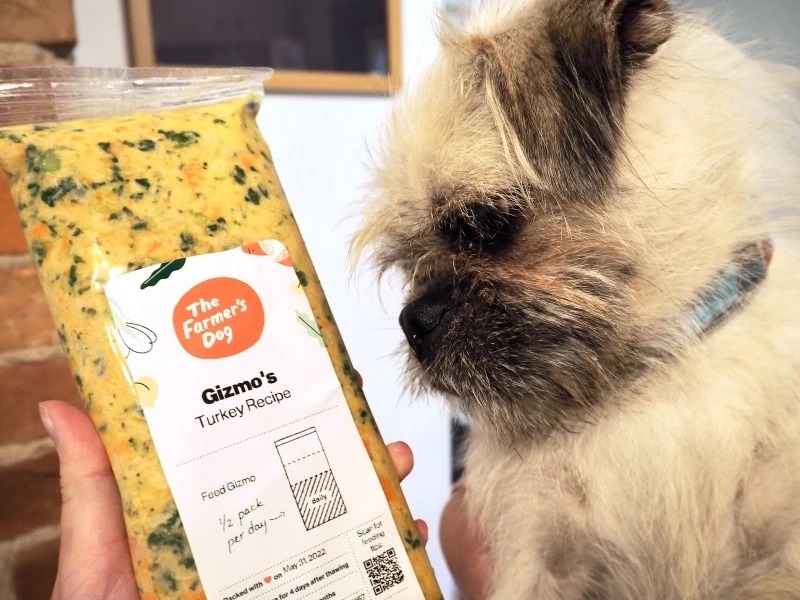 【案例分析】狗粮赛道：如何在饱和的市场让品牌与众不同